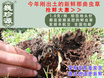 rx(chng)Ĳ շb 1/r(ji)100Ԫ/
