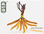 x(chng)Ĳ2.2l/ ڲ x؛r(ji)286Ԫ/