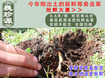 rx(chng)Ĳ շb 0.6/r(ji)60Ԫ/