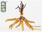 x(chng)Ĳ2.5l/ ڲ x؛r(ji)252Ԫ/